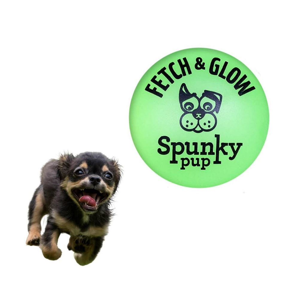 כדור קשיח לכלב זוהר בחושך - https://petshappines.shop/products/fetch-glow-ball
