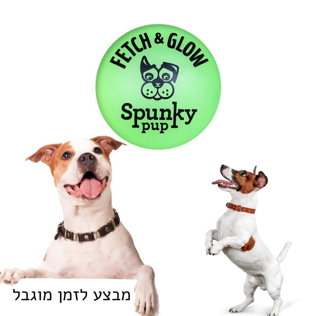 כדור קשיח לכלב זוהר בחושך - https://petshappines.shop/products/fetch-glow-ball