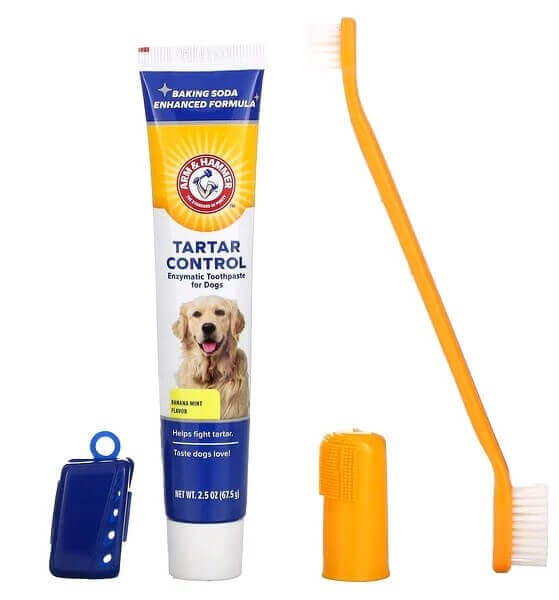 ערכה דנטלית לכלב  https://petshappines.shop/products/dental-kit