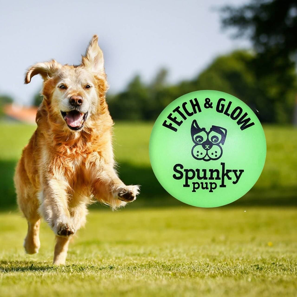 כדור קשיח לכלב זוהר בחושך - https://petshappines.shop/products/fetch-glow-ball