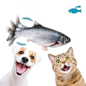 צעצוע הדג הרוקד - https://petshappines.shop/products/fish